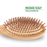 Natural Oval Bamboo Paddle Hair Brush - Glamix Maternity