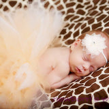 [0M-6M] Newborn Baby Girls Elegant Lace Tutu Photoshoots Suit